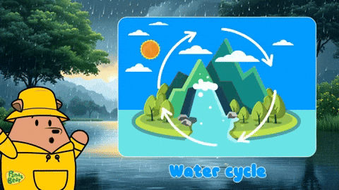 A Picture Of A Water Cycle With A Bear In A Raincoat GIF