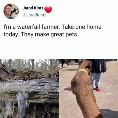 A Picture Of A Waterfall And A Picture Of A Dog With The Caption " I 'M A Waterfall Farmer " GIF