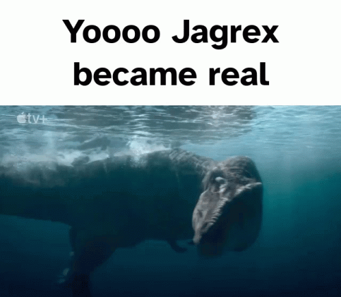 A Picture Of A Whale In The Water With The Words " Yoooo Jagrex Became Real " GIF