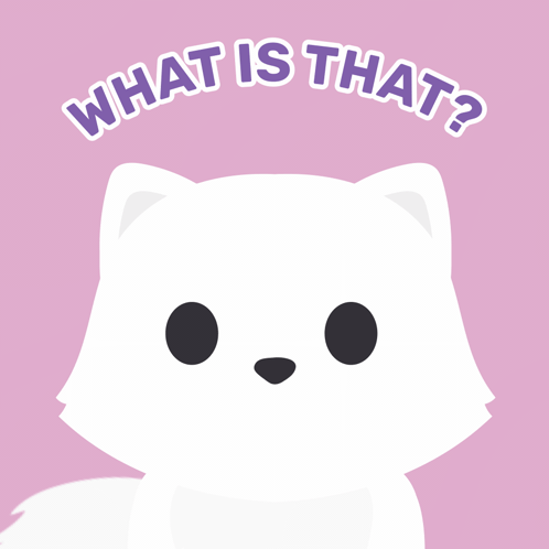 A Picture Of A White Cat With The Words What Is That Below It GIF