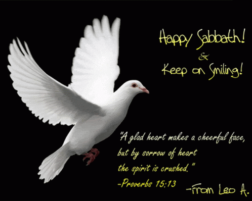 A Picture Of A White Dove With A Quote From Proverbs GIF