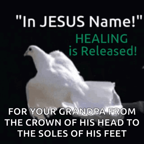 a picture of a white dove with the words " in jesus name healing is released " below it