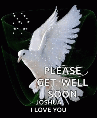 A Picture Of A White Dove With The Words Please Get Well Soon Joshua I Love You On It GIF