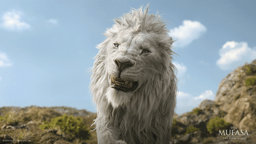 A Picture Of A White Lion With Mufasa The Lion King Written On The Bottom GIF