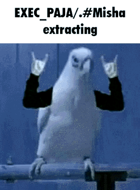 a picture of a white parrot with a caption that says exec paja / misha extracting