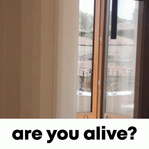 A Picture Of A Window And The Words " Are You Alive " GIF