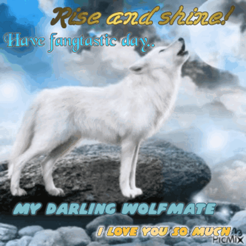 A Picture Of A Wolf Howling With The Words Rise And Shine GIF