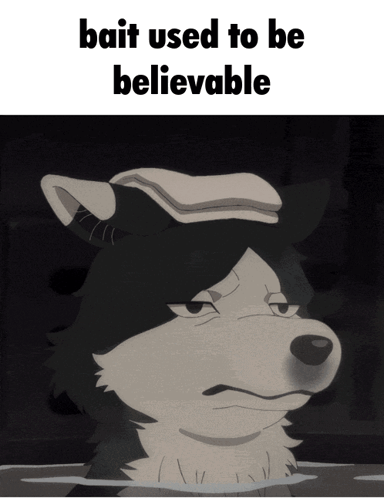A Picture Of A Wolf With A Towel On Its Head And The Words Bait Used To Be Believable Below It GIF