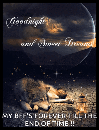 A Picture Of A Wolf With The Words " Goodnight And Sweet Dreams " On It GIF