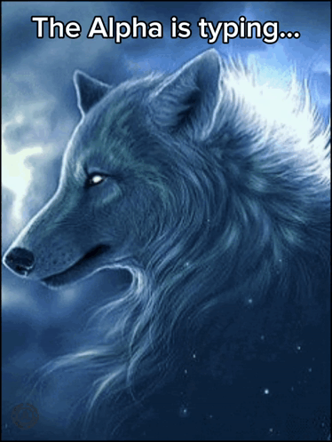 A Picture Of A Wolf With The Words The Alpha Is Typing Below It GIF