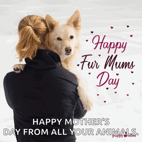 A Picture Of A Woman Holding A Dog With The Caption Happy Fur Mums Day From All Your Animals GIF
