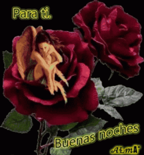 A Picture Of A Woman Sitting On A Rose With The Words Para Ti Buena Noches GIF