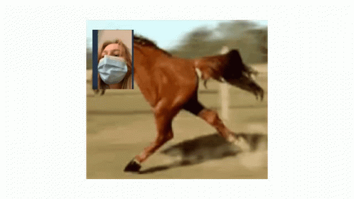 A Picture Of A Woman Wearing A Mask Next To A Horse GIF