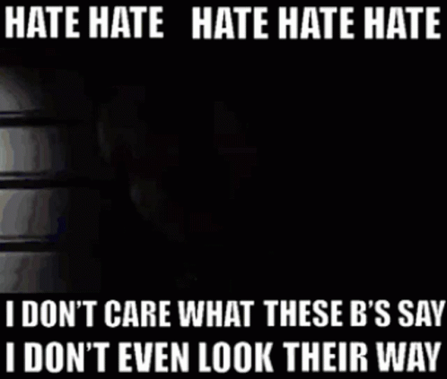 A Picture Of A Woman With The Words Hate Hate Hate Hate I Don T Care What These B 'S Say GIF