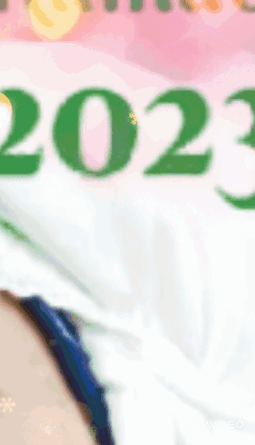 Woman With 2023 Text In Green GIF
