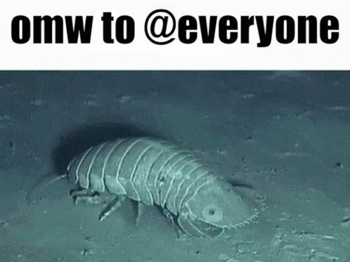 A Picture Of A Worm With The Words Omw To @Everyone Above It GIF