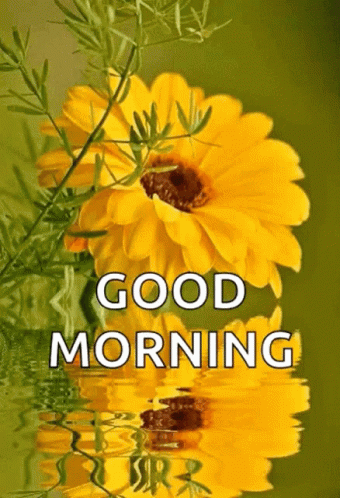 A Picture Of A Yellow Flower With The Words Good Morning Above It GIF