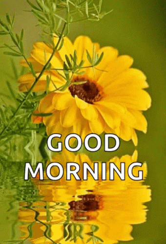 A Picture Of A Yellow Flower With The Words Good Morning Above It GIF