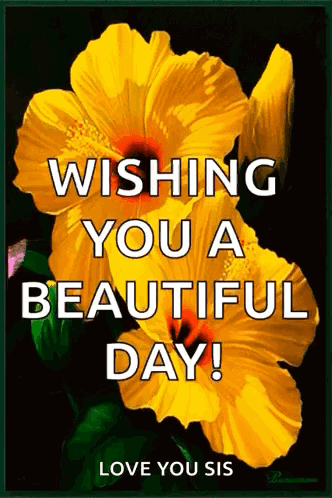 A Picture Of A Yellow Flower With The Words Wishing You A Beautiful Day GIF