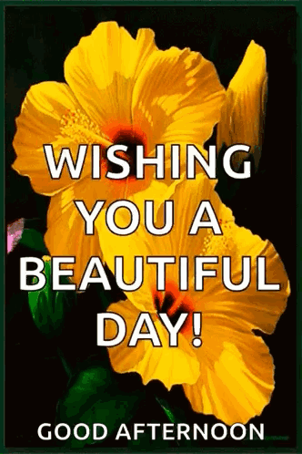 A Picture Of A Yellow Flower With The Words Wishing You A Beautiful Day Good Afternoon GIF