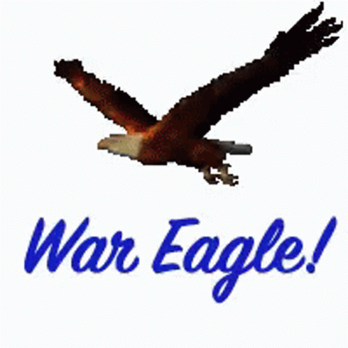 A Picture Of An Eagle With The Words War Eagle Written On It GIF