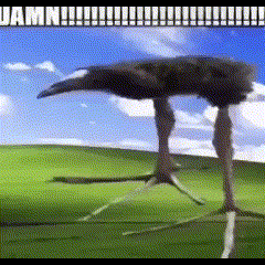 A Picture Of An Ostrich Standing In A Field With The Words Damn On The Bottom GIF