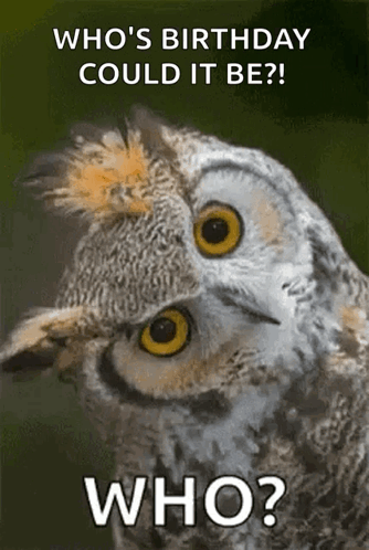 A Picture Of An Owl With The Words Who 'S Birthday Could It Be GIF
