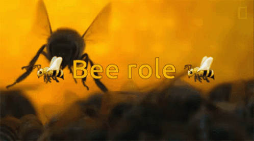 A Picture Of Bees With The Words Bee Role Written Above Them GIF