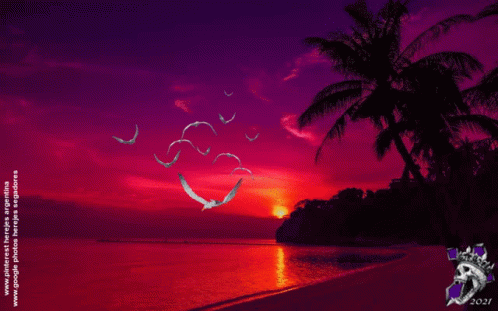 A Picture Of Birds Flying Over A Beach With The Date 2021 GIF