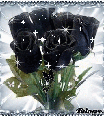 A Picture Of Black Roses And Butterflies With The Word Blingee On The Bottom GIF