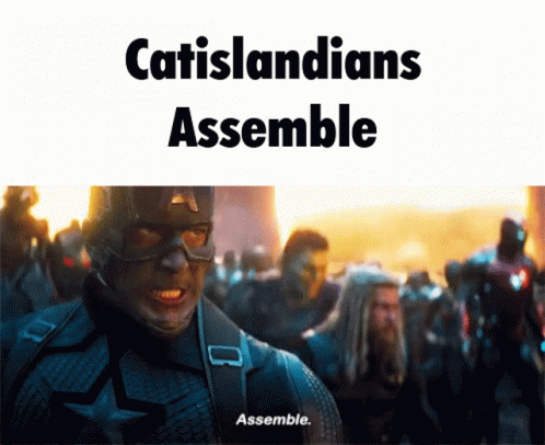 A Picture Of Captain America With The Words Catislandians Assemble Below Him GIF