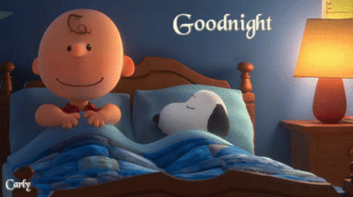 A Picture Of Charlie Brown And Snoopy In Bed With The Words Goodnight On The Bottom GIF