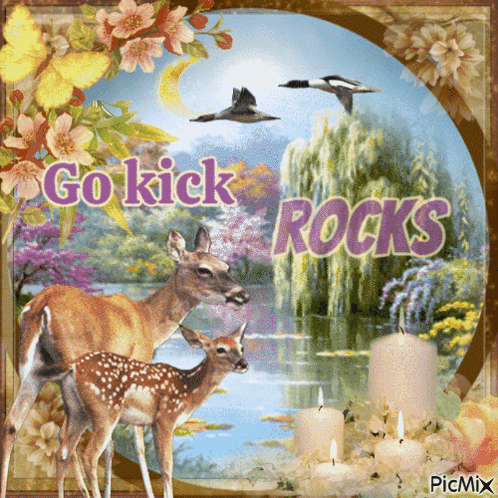 a picture of deer with the words go kick rocks