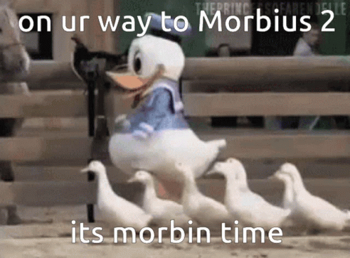 A Picture Of Donald Duck And Ducklings With The Caption " On Ur Way To Morbidus 2 Its Morbid Time " GIF