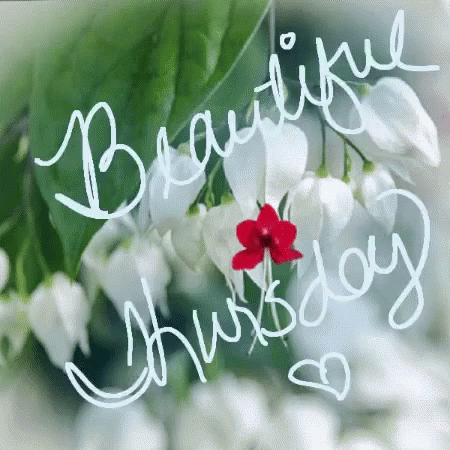 A Picture Of Flowers With The Words Beautiful Thursday Written On It . GIF