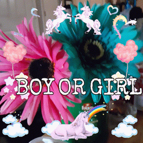 A Picture Of Flowers With The Words Boy Or Girl GIF