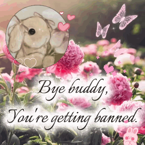 A Picture Of Flowers With The Words Bye Buddy You 'Re Getting Banned At The Bottom GIF