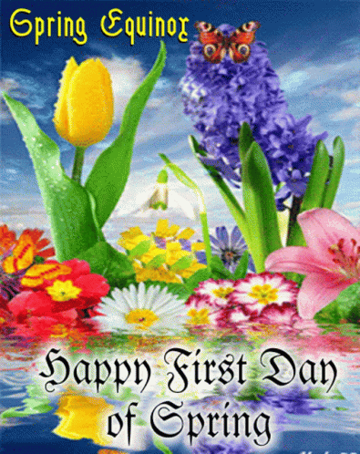 A Picture Of Flowers With The Words Happy First Day Of Spring On It GIF