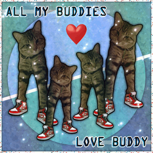 A Picture Of Four Cats Wearing Nike Shoes With The Words All My Buddies Love Buddy GIF