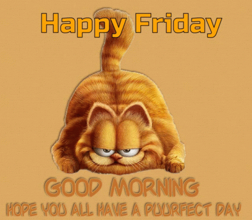 A Picture Of Garfield With The Words Happy Friday Good Morning Hope You All Have A Purfect Day GIF