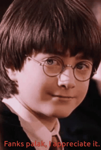 A Picture Of Harry Potter With The Words " Fanks Palak I Appreciate It " GIF
