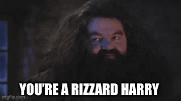 a picture of harry potter with the words you 're a rizzard harry