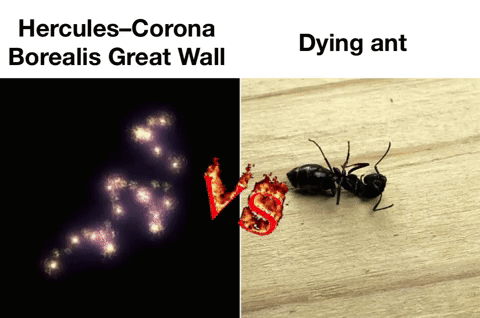 A Picture Of Hercules Corona Borealis Great Wall Next To A Picture Of A Dead Ant GIF