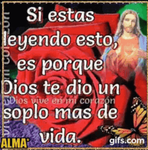 A Picture Of Jesus And A Rose With The Words Si Estas Leyendo Esto GIF