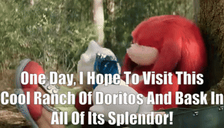a picture of knuckles and sonic with the caption one day i hope to visit this cool ranch of doritos and bask in