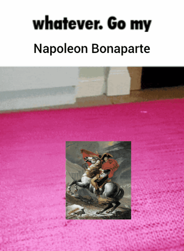 A Picture Of Napoleon Bonaparte Is On A Pink Rug GIF