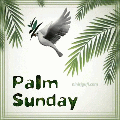 A Picture Of Palm Sunday With A Dove Flying GIF
