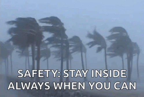 A Picture Of Palm Trees Blowing In The Wind With The Words " Safety Stay Inside Always When You Can " GIF