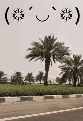 A Picture Of Palm Trees With A Smiley Face And Flowers GIF