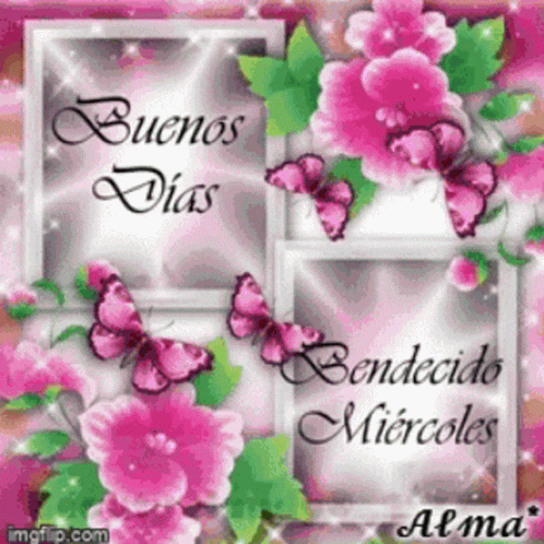 A Picture Of Pink Flowers And Butterflies With The Words Buenos Dias Benedicto Miércoles GIF